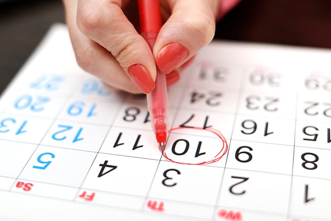 calendar marronnier